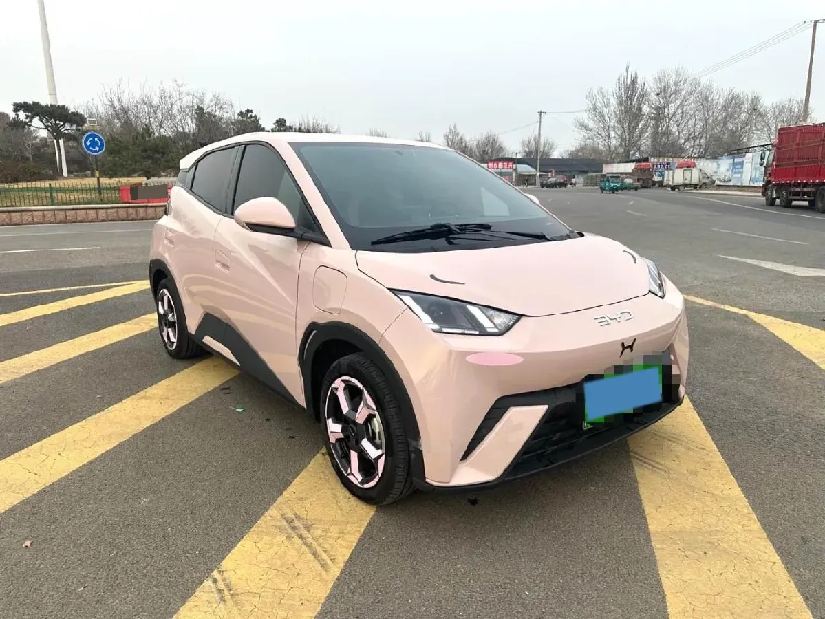 2024 BYD Seagull BEV 30.08KWH,autocango,china used car exporter,china ev exporter,chinese used car exporter,chinese used ev exporter