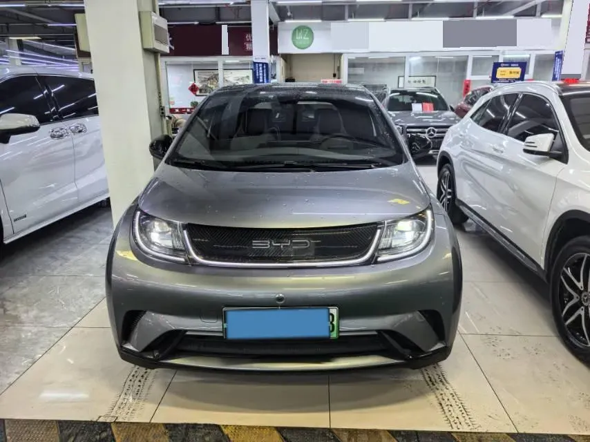 2023 BYD Dolphin BEV 44.928KWH,autocango,china used car exporter,china ev exporter,chinese used car exporter,chinese used ev exporter