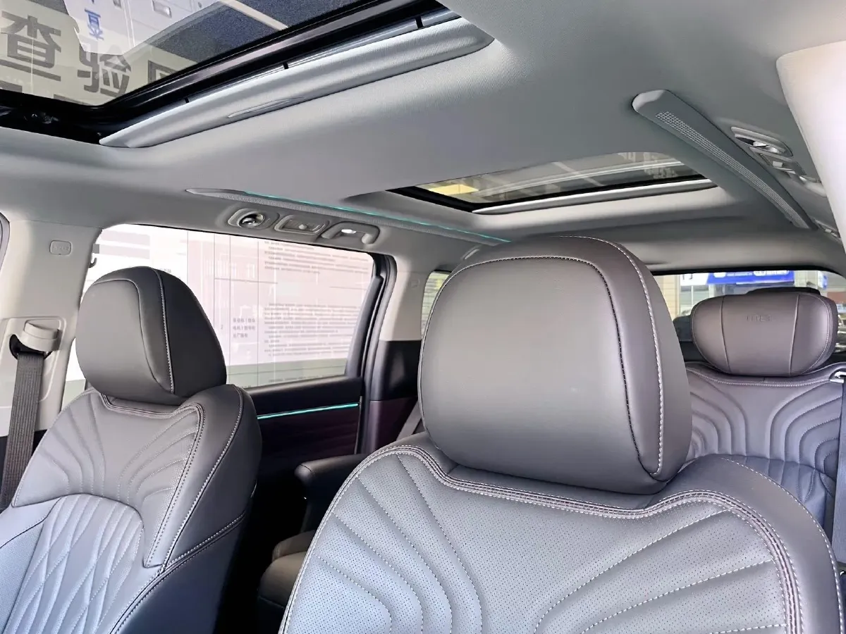 2024 GAC Trumpchi M8 2.0T 190HP L4 2DHT Hybrid,autocango,china used car exporter,china ev exporter,chinese used car exporter,chinese used ev exporter