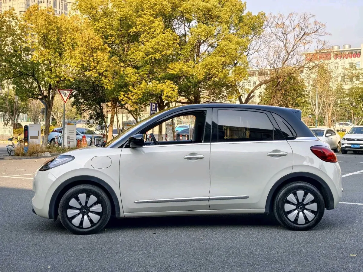 2024 WuLing BinGuo BEV 31.9KWH,autocango,china used car exporter,china ev exporter,chinese used car exporter,chinese used ev exporter