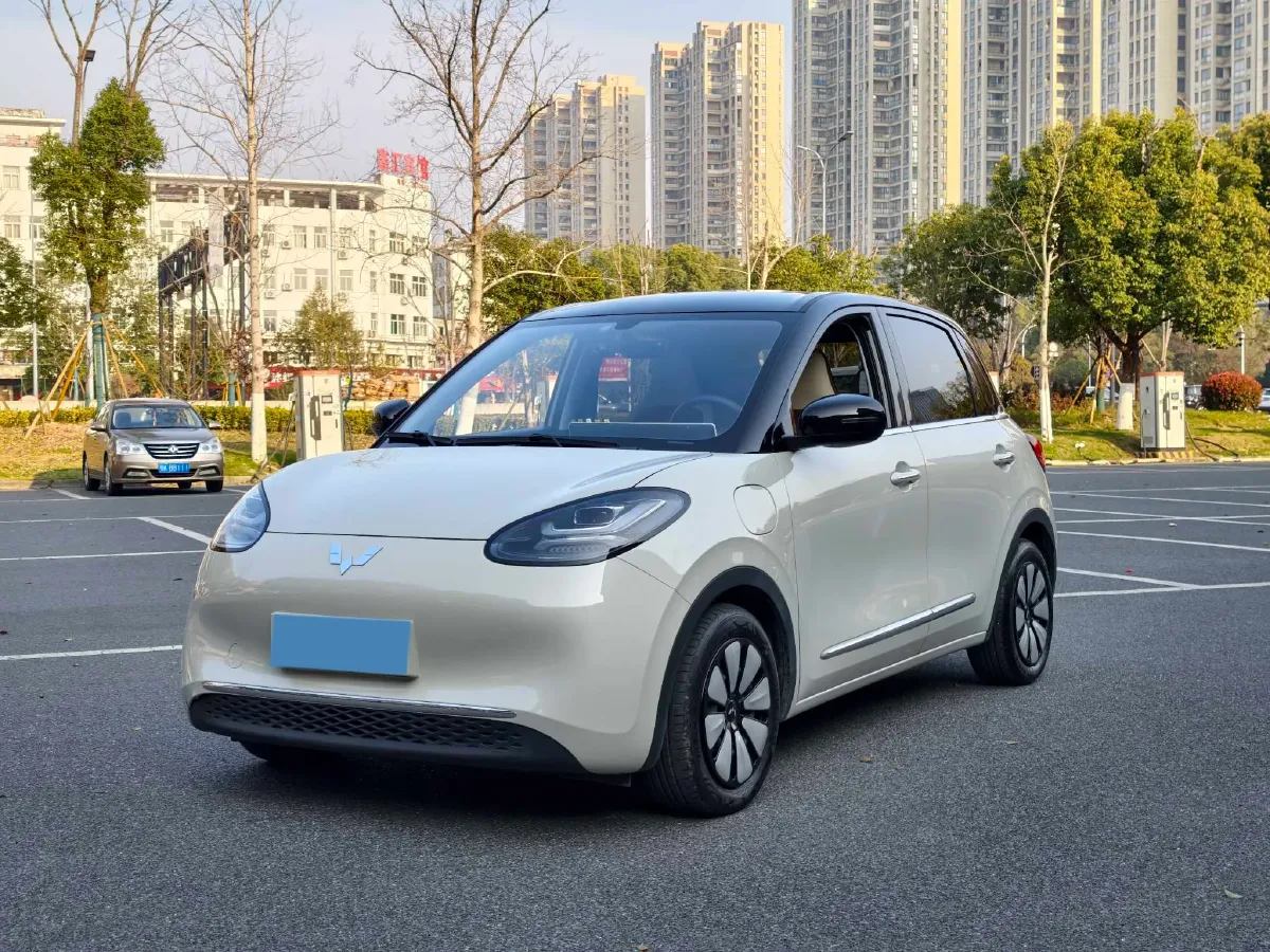 2024 WuLing BinGuo BEV 31.9KWH,autocango,china used car exporter,china ev exporter,chinese used car exporter,chinese used ev exporter