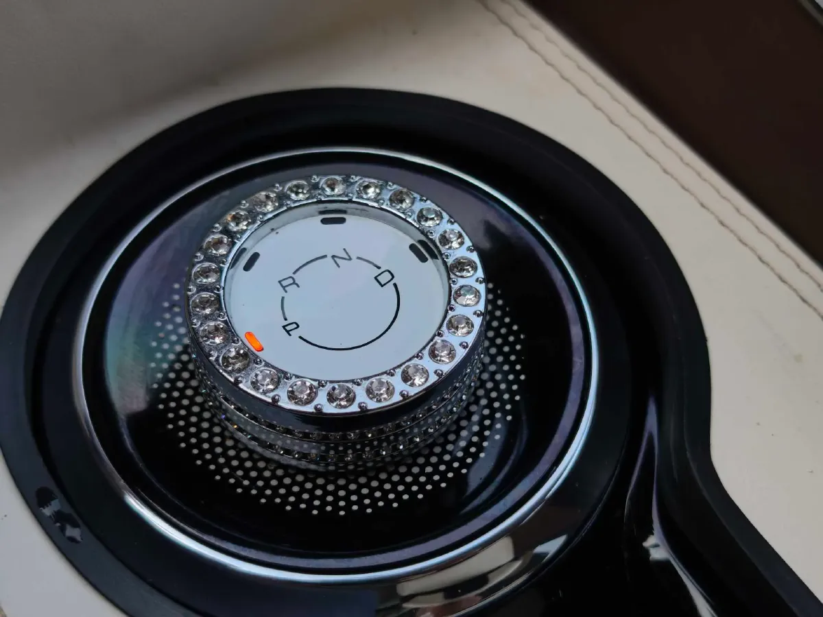 2024 WuLing BinGuo BEV 31.9KWH,autocango,china used car exporter,china ev exporter,chinese used car exporter,chinese used ev exporter