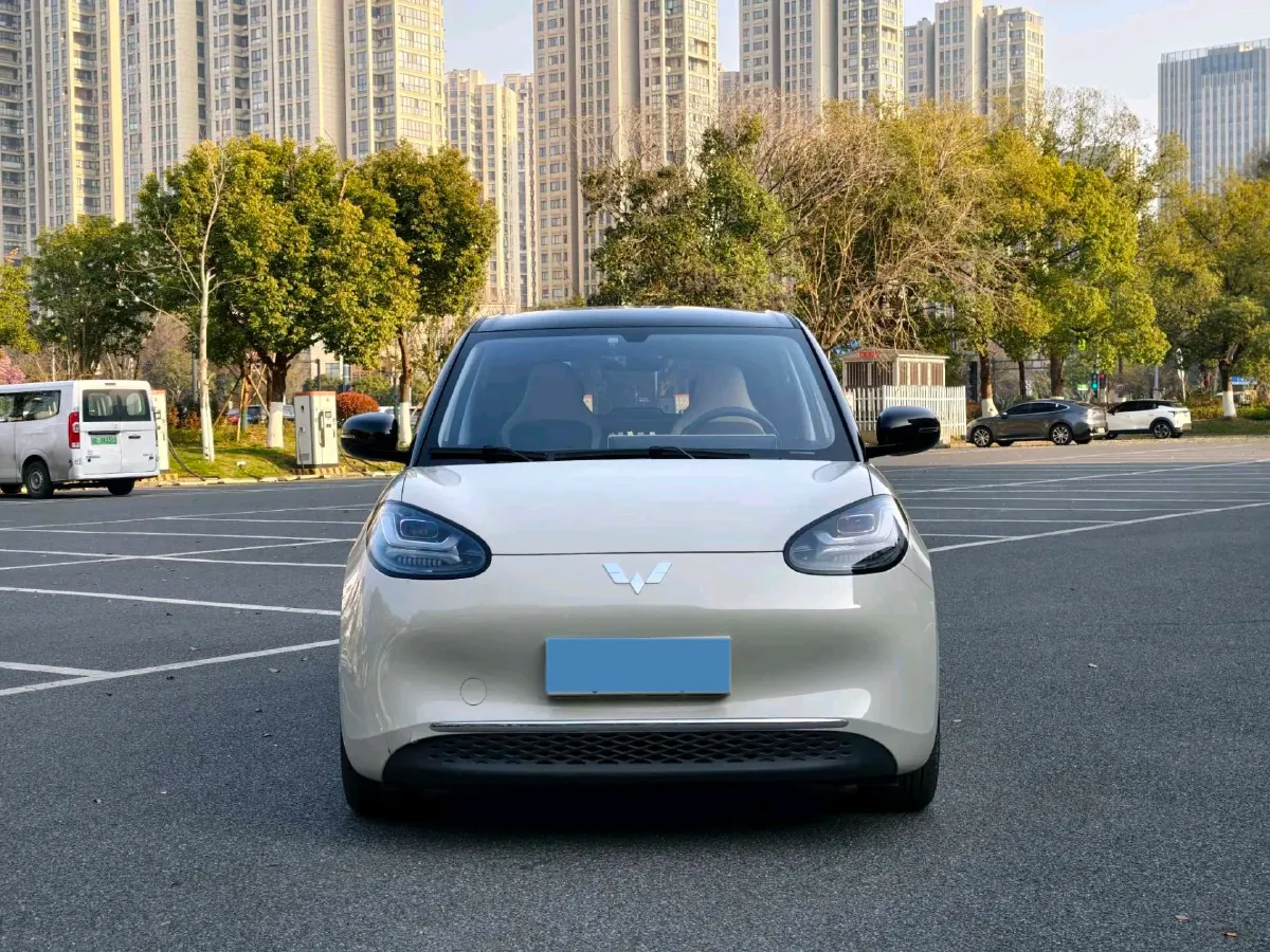 2024 WuLing BinGuo BEV 31.9KWH,autocango,china used car exporter,china ev exporter,chinese used car exporter,chinese used ev exporter