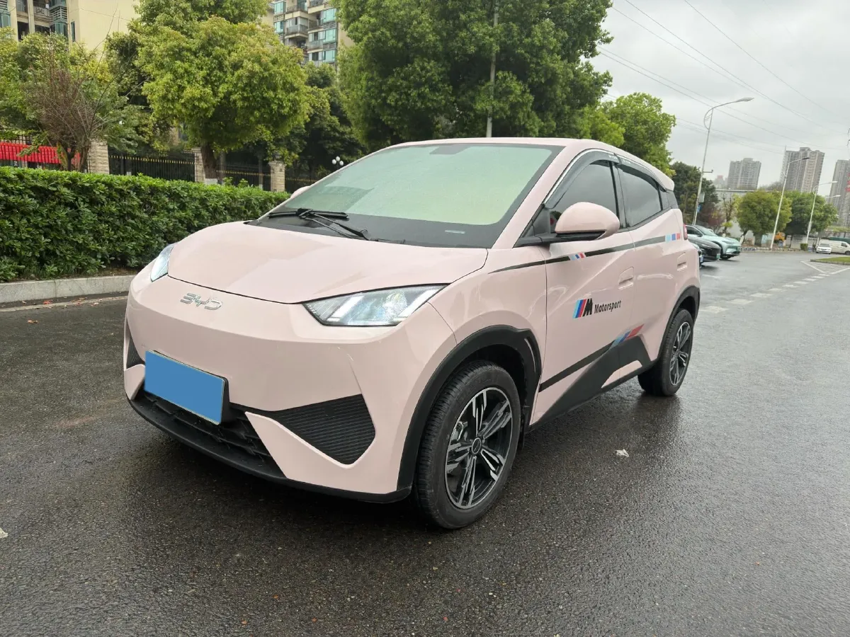 2025 BYD Seagull BEV 30.08KWH,autocango,china used car exporter,china ev exporter,chinese used car exporter,chinese used ev exporter