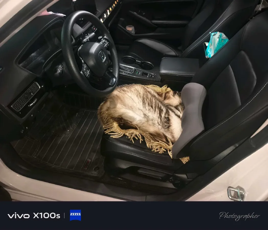 2022 Honda Civic 1.5T 182HP L4 CVT,autocango,china used car exporter,china ev exporter,chinese used car exporter,chinese used ev exporter