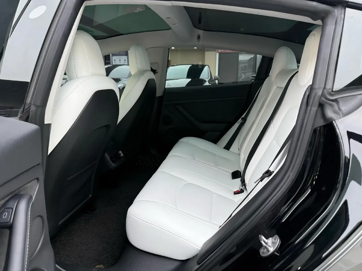 2021 Tesla Model 3 BEV 55KWH,autocango,china used car exporter,china ev exporter,chinese used car exporter,chinese used ev exporter