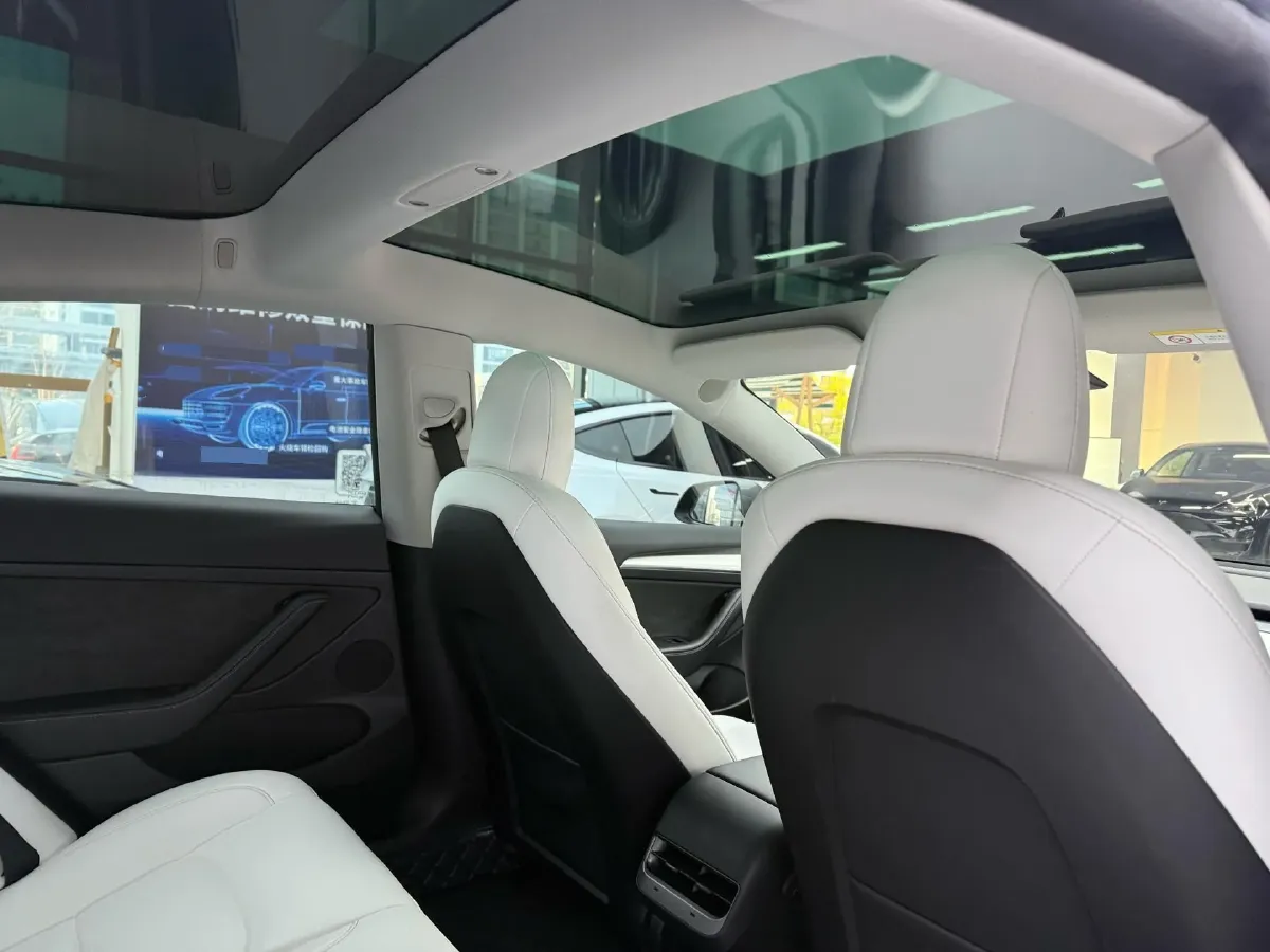 2021 Tesla Model 3 BEV 55KWH,autocango,china used car exporter,china ev exporter,chinese used car exporter,chinese used ev exporter