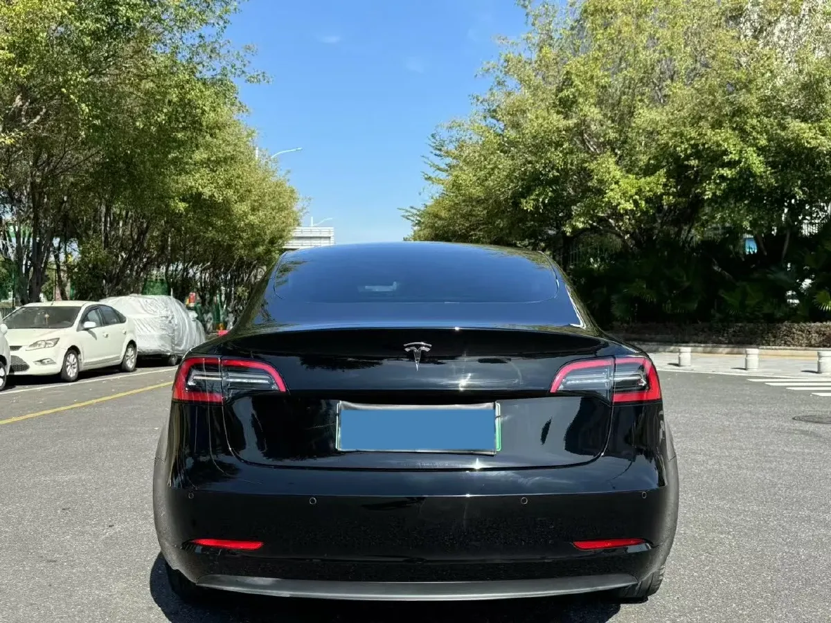 2021 Tesla Model 3 BEV 55KWH,autocango,china used car exporter,china ev exporter,chinese used car exporter,chinese used ev exporter