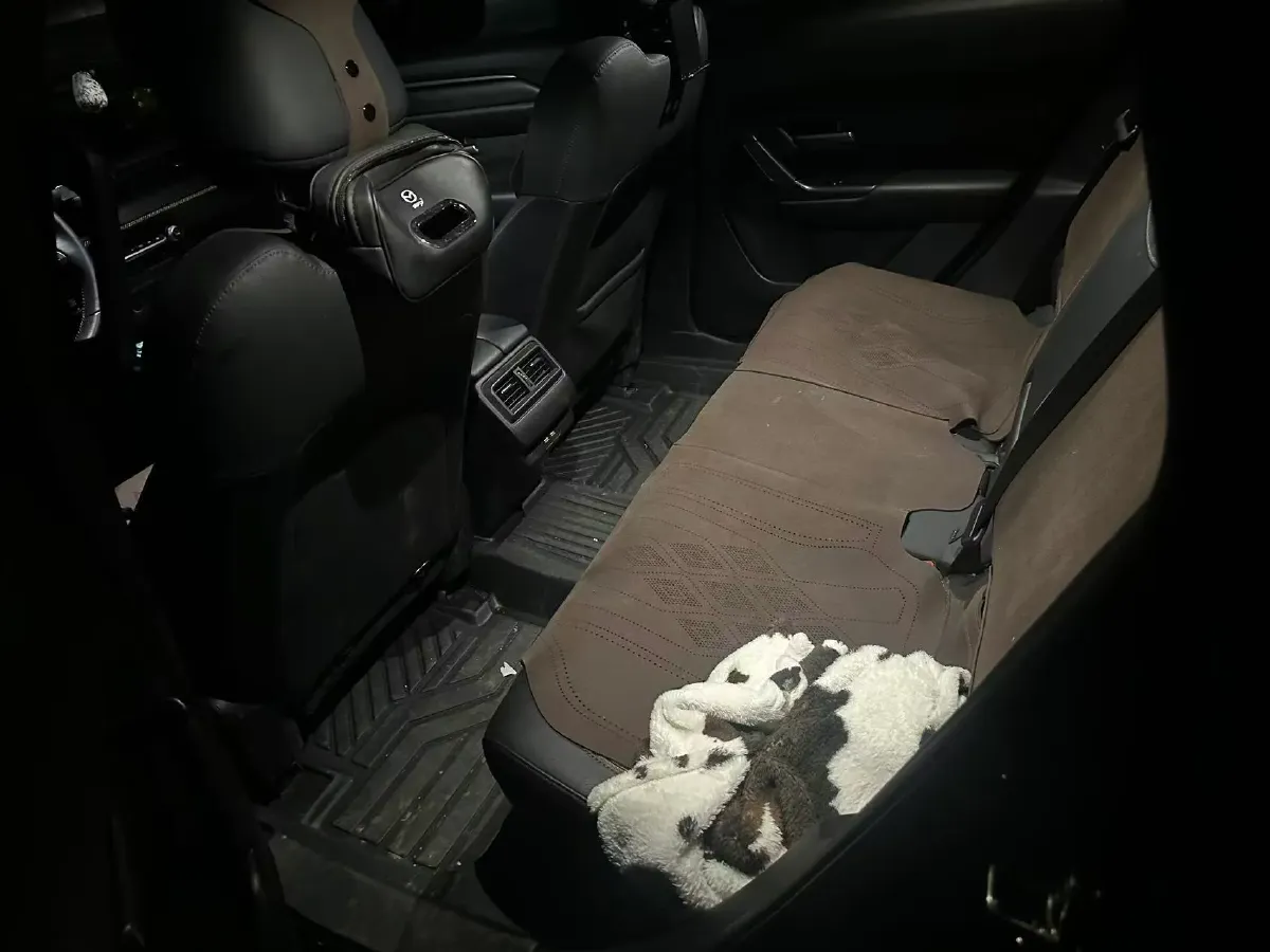 2023 Smart smart Elf 1 BEV 49KWH,autocango,china used car exporter,china ev exporter,chinese used car exporter,chinese used ev exporter