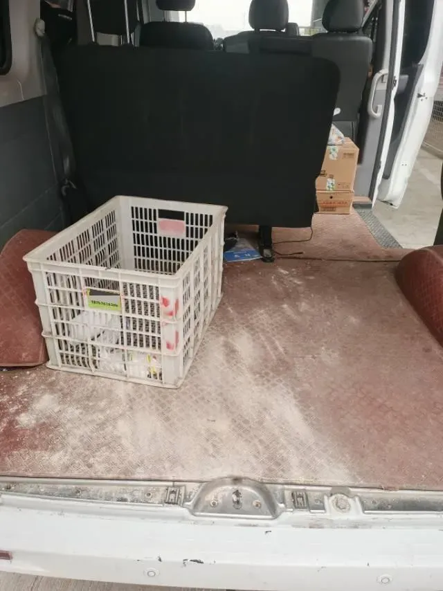 2023 MAXUS XinTu V80 2.0T 139HP L4 6MT,autocango,china used car exporter,china ev exporter,chinese used car exporter,chinese used ev exporter