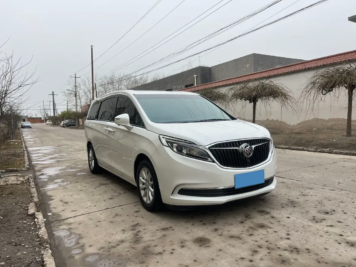 2018 Buick GL8 2.0T 260HP L4 6AT,autocango,china used car exporter,china ev exporter,chinese used car exporter,chinese used ev exporter