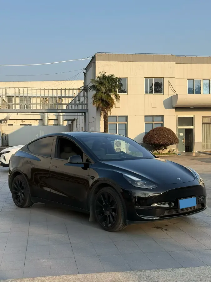 2021 Tesla Model Y BEV 60KWH,autocango,china used car exporter,china ev exporter,chinese used car exporter,chinese used ev exporter