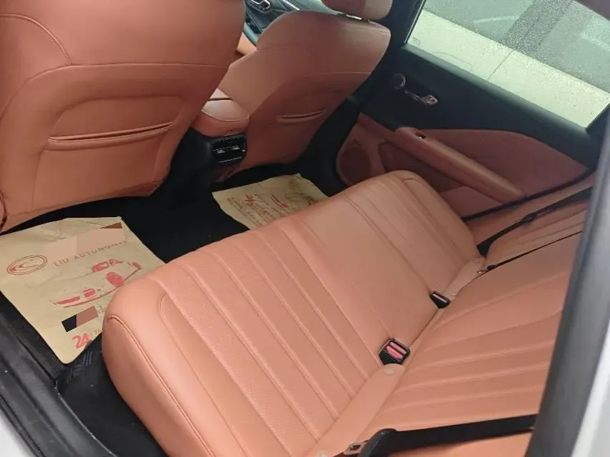 2025 Aion AION RT BEV 55.1KWH,autocango,china used car exporter,china ev exporter,chinese used car exporter,chinese used ev exporter