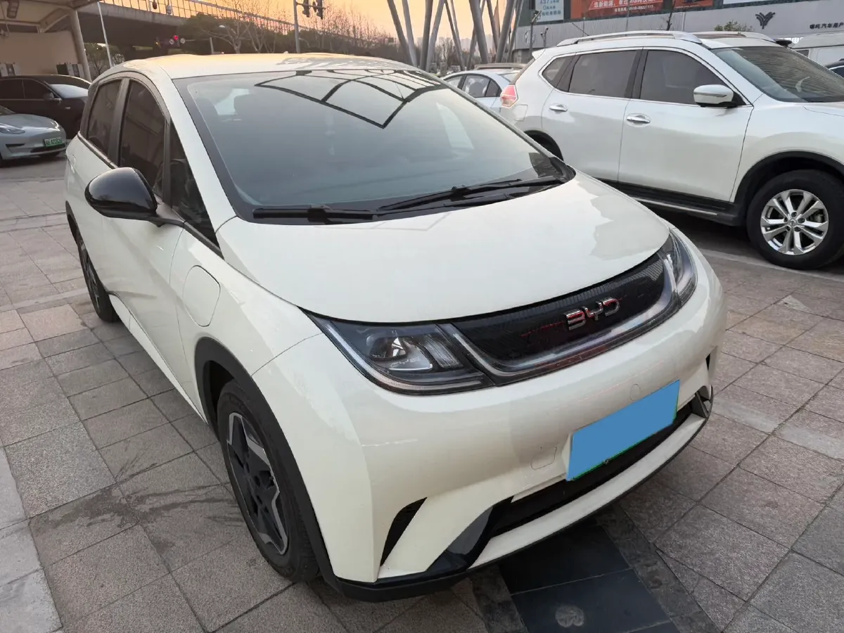 2025 BYD Dolphin BEV 44.928KWH,autocango,china used car exporter,china ev exporter,chinese used car exporter,chinese used ev exporter