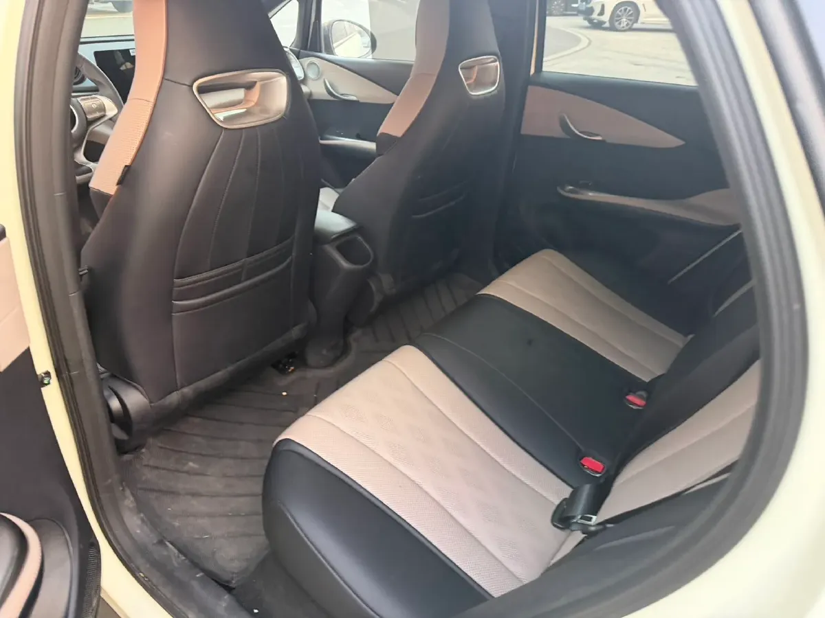 2025 BYD Dolphin BEV 44.928KWH,autocango,china used car exporter,china ev exporter,chinese used car exporter,chinese used ev exporter