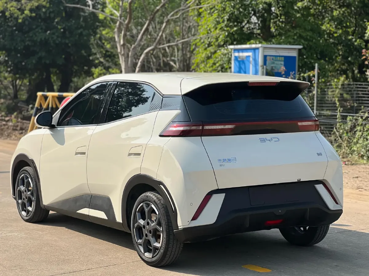 2025 BYD Seagull BEV 30.08KWH,autocango,china used car exporter,china ev exporter,chinese used car exporter,chinese used ev exporter