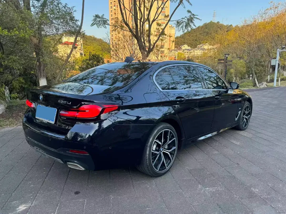 2023 BMW 5 Series 2.0T 245HP L4 8AT,autocango,china used car exporter,china ev exporter,chinese used car exporter,chinese used ev exporter