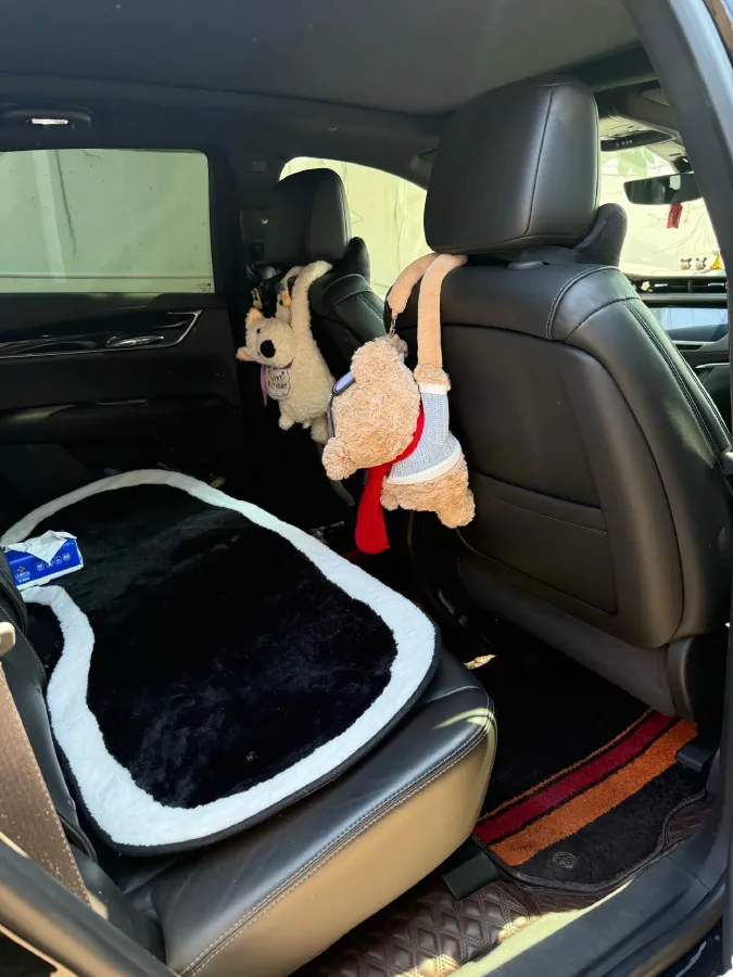 2020 Cadillac XT5 2.0T 237HP L4 9AT,autocango,china used car exporter,china ev exporter,chinese used car exporter,chinese used ev exporter