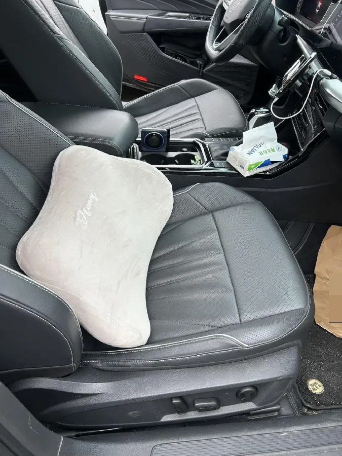 2024 Volkswagen Passat 2.0T 220HP L4 7DCT,autocango,china used car exporter,china ev exporter,chinese used car exporter,chinese used ev exporter