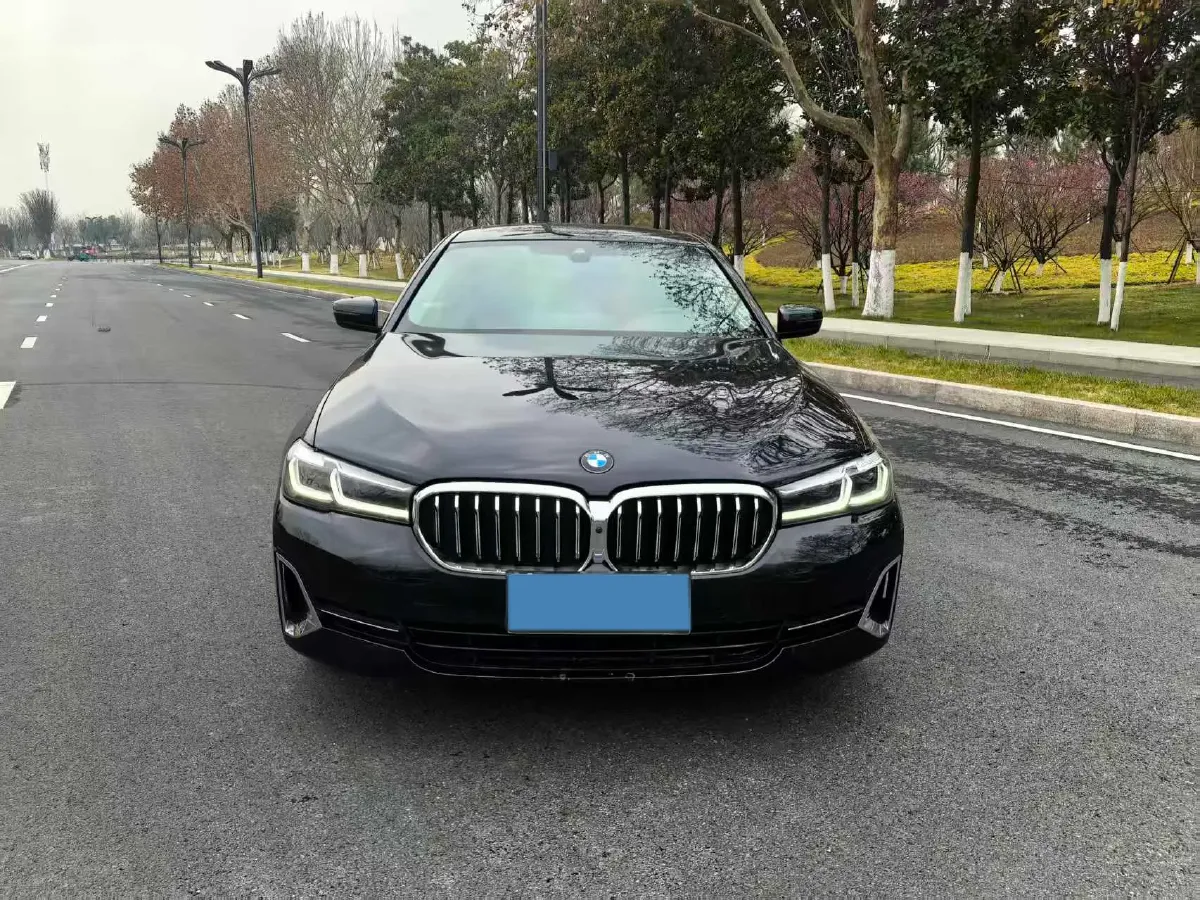 2022 BMW 5 Series 2.0T 252HP L4 8AT,autocango,china used car exporter,china ev exporter,chinese used car exporter,chinese used ev exporter