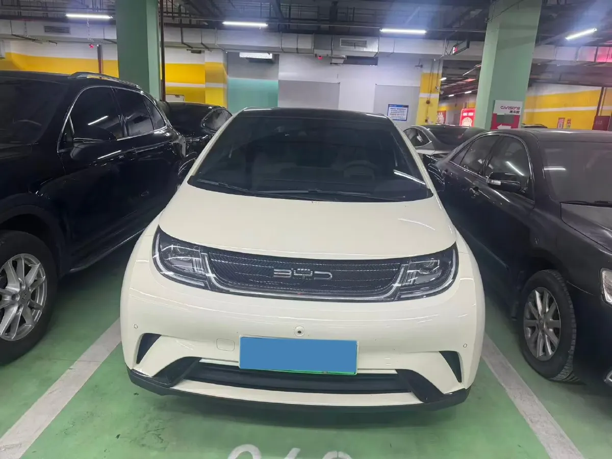 2023 BYD Dolphin BEV 44.928KWH,autocango,china used car exporter,china ev exporter,chinese used car exporter,chinese used ev exporter