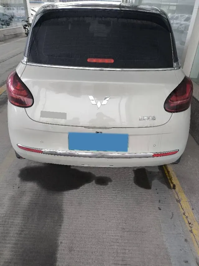 2024 WuLing BinGuo BEV 31.9KWH,autocango,china used car exporter,china ev exporter,chinese used car exporter,chinese used ev exporter