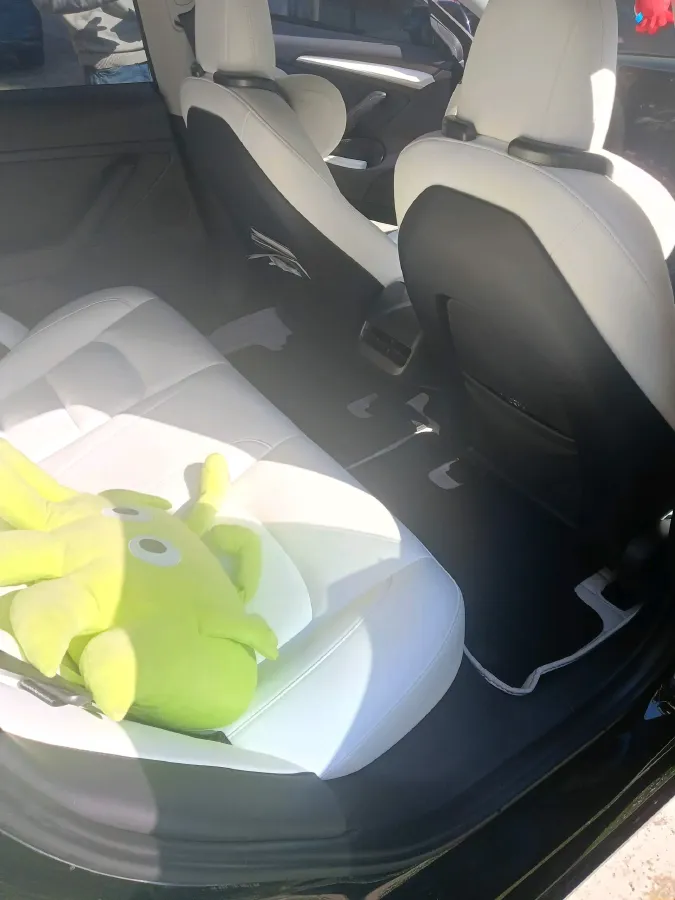 2022 Tesla Model 3 BEV 60KWH,autocango,china used car exporter,china ev exporter,chinese used car exporter,chinese used ev exporter