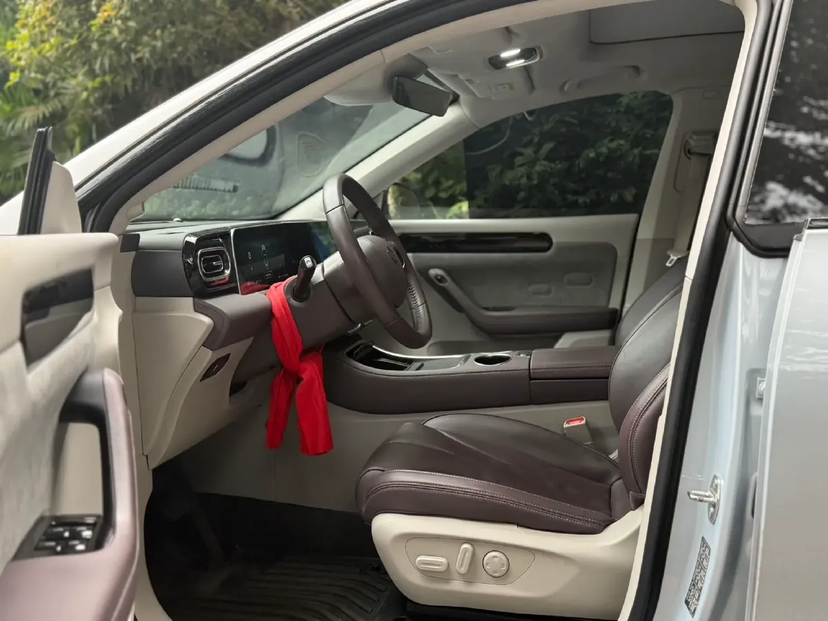 2023 Leapmotor C11 Range Extended 131HP REEV 30.1KWH,autocango,china used car exporter,china ev exporter,chinese used car exporter,chinese used ev exporter