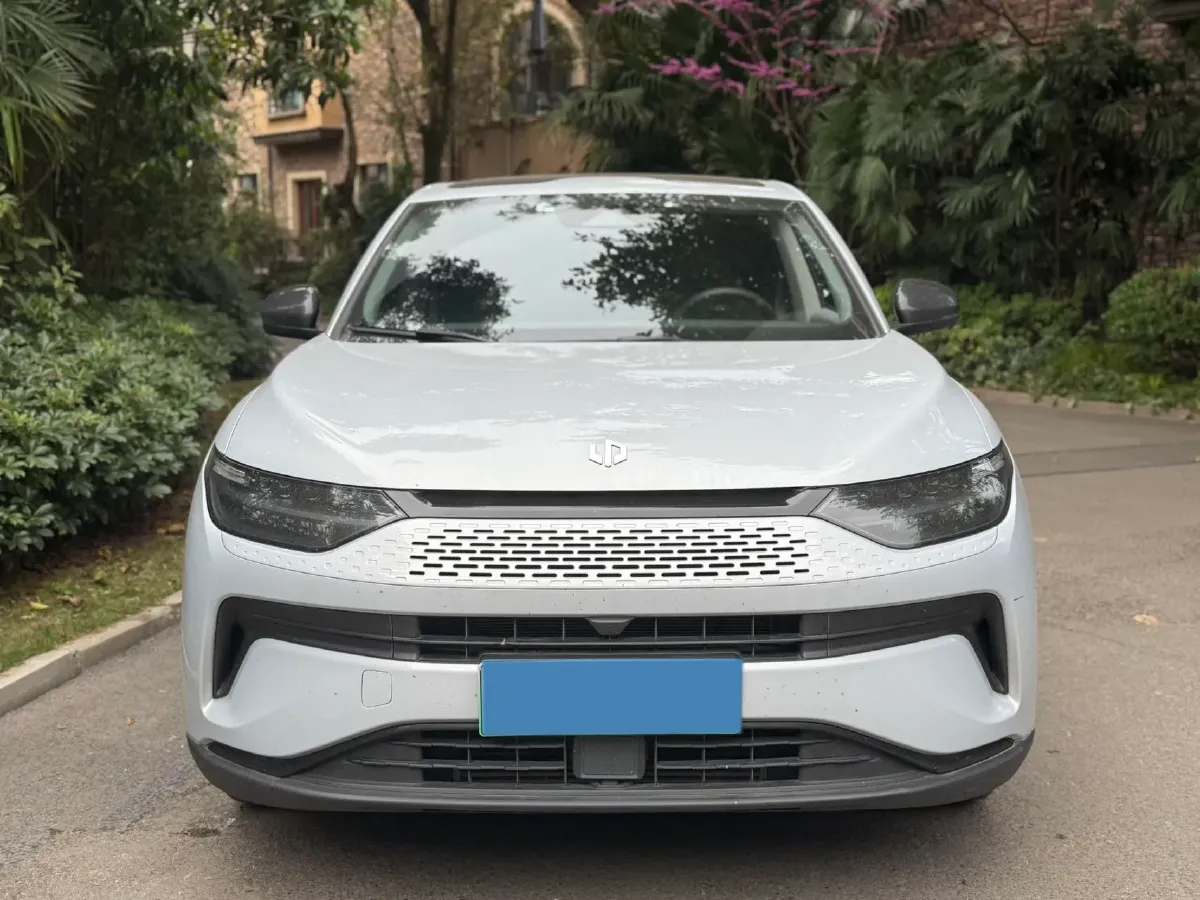 2023 Leapmotor C11 Range Extended 131HP REEV 30.1KWH,autocango,china used car exporter,china ev exporter,chinese used car exporter,chinese used ev exporter