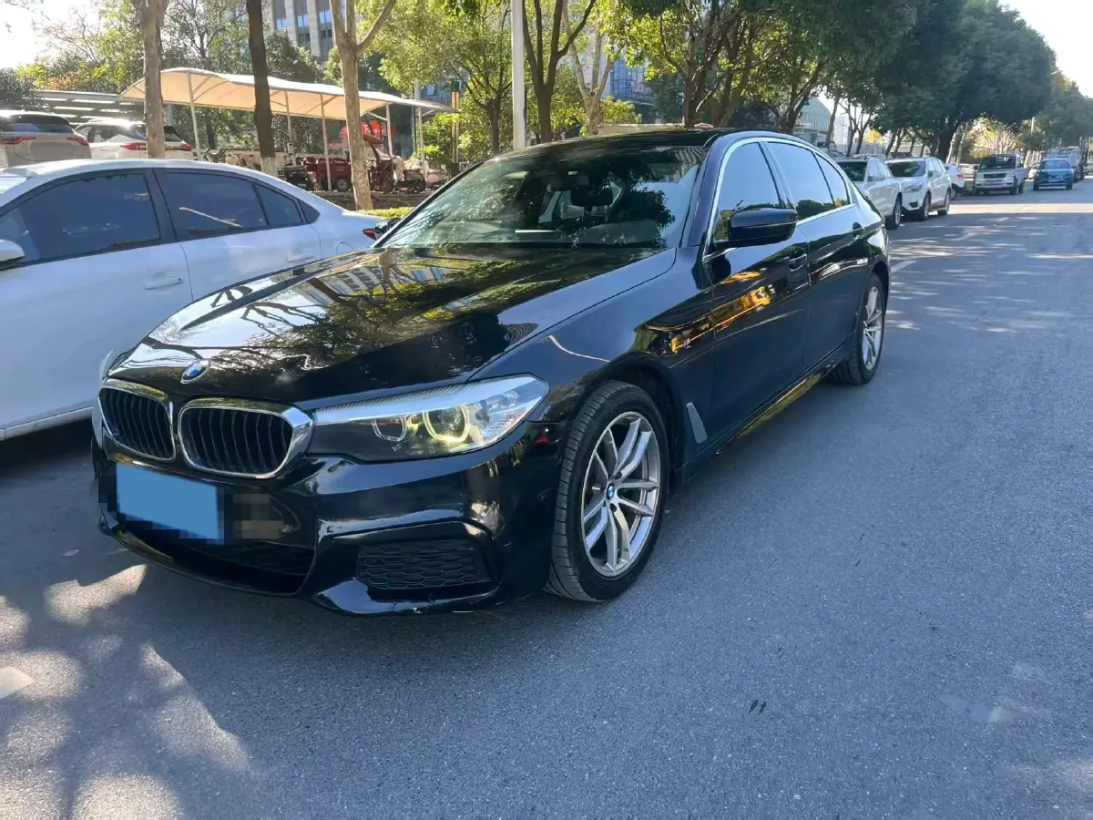 2020 BMW 5 Series 2.0T 184HP L4 8AT,autocango,china used car exporter,china ev exporter,chinese used car exporter,chinese used ev exporter