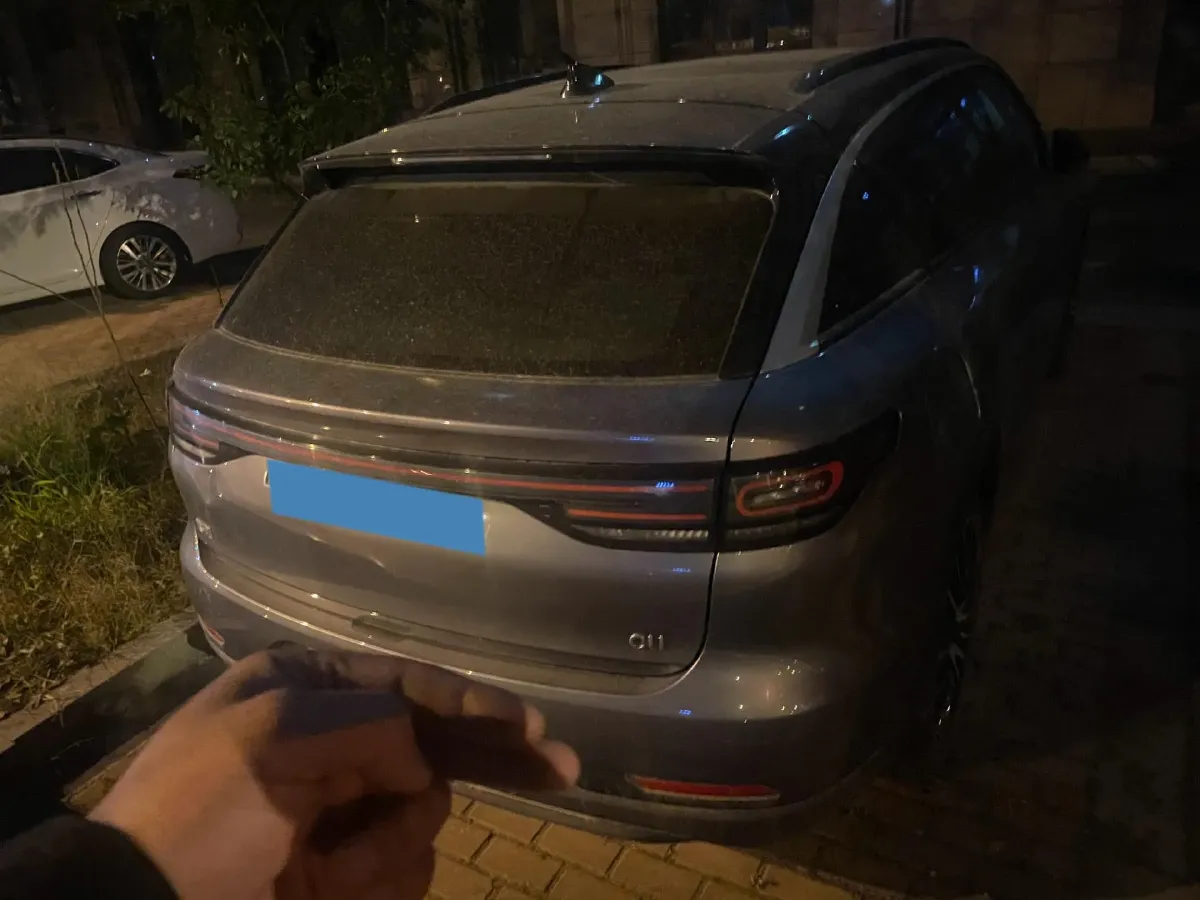 2021 Leapmotor C11 BEV 78.54KWH,autocango,china used car exporter,china ev exporter,chinese used car exporter,chinese used ev exporter