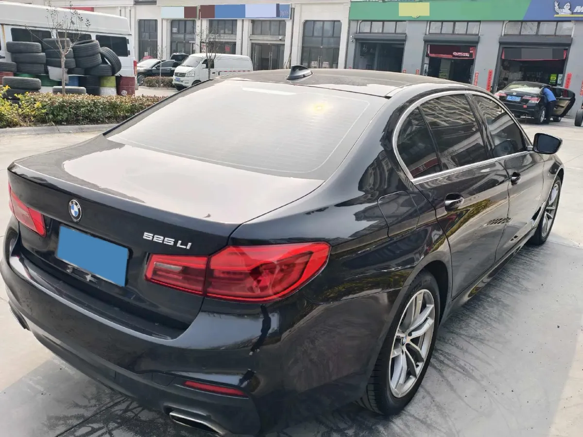 2020 BMW 5 Series 2.0T 184HP L4 8AT,autocango,china used car exporter,china ev exporter,chinese used car exporter,chinese used ev exporter