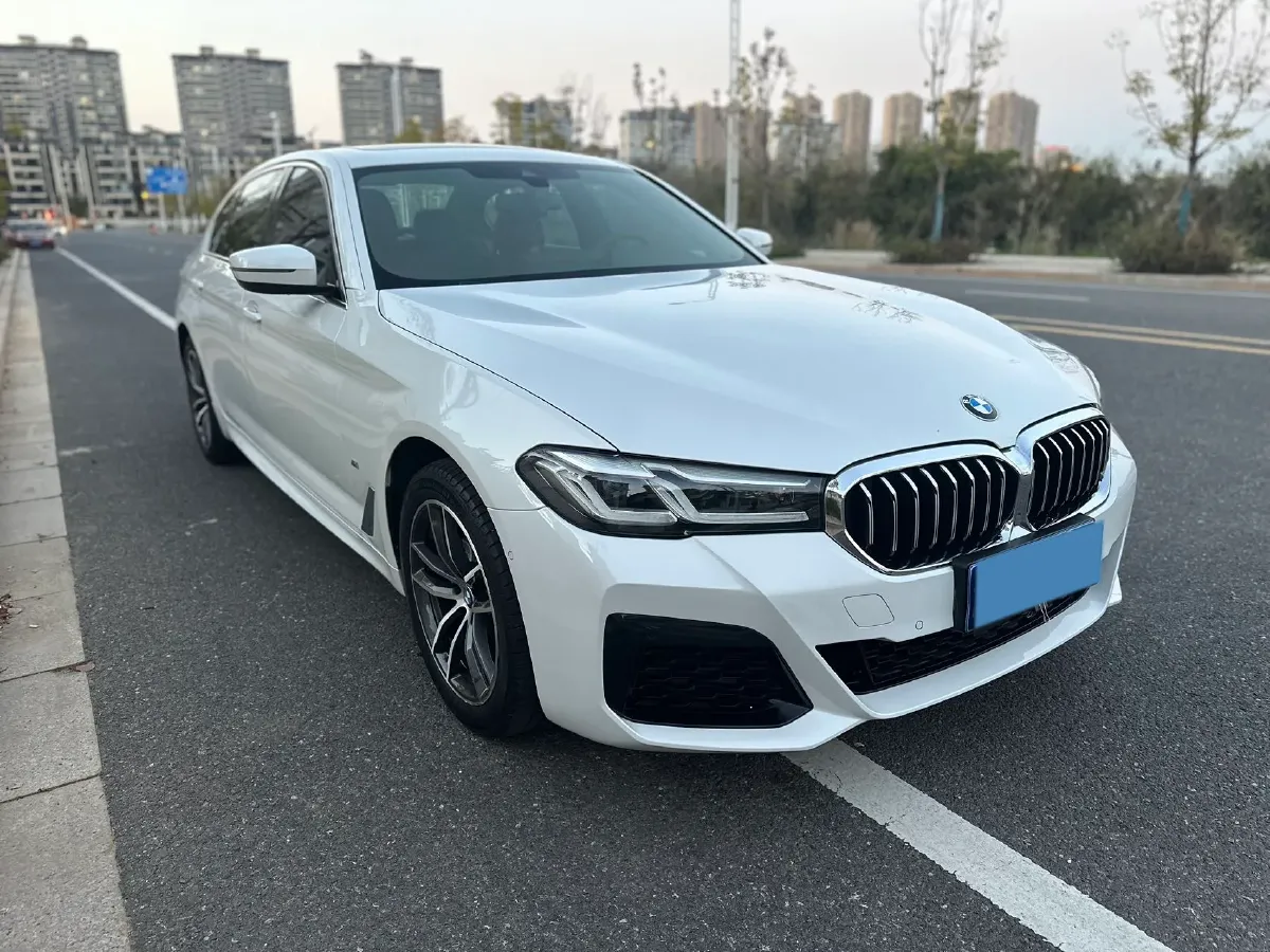 2022 BMW 5 Series 2.0T 184HP L4 8AT,autocango,china used car exporter,china ev exporter,chinese used car exporter,chinese used ev exporter