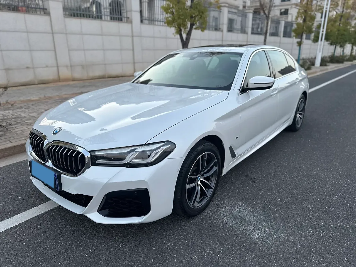 2022 BMW 5 Series 2.0T 184HP L4 8AT,autocango,china used car exporter,china ev exporter,chinese used car exporter,chinese used ev exporter