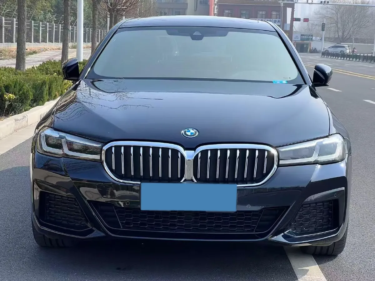 2021 BMW 5 Series 2.0T 184HP L4 8AT PHEV 17.7KWH,autocango,china used car exporter,china ev exporter,chinese used car exporter,chinese used ev exporter