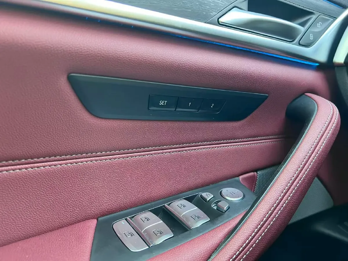 2021 BMW 5 Series 2.0T 184HP L4 8AT PHEV 17.7KWH,autocango,china used car exporter,china ev exporter,chinese used car exporter,chinese used ev exporter