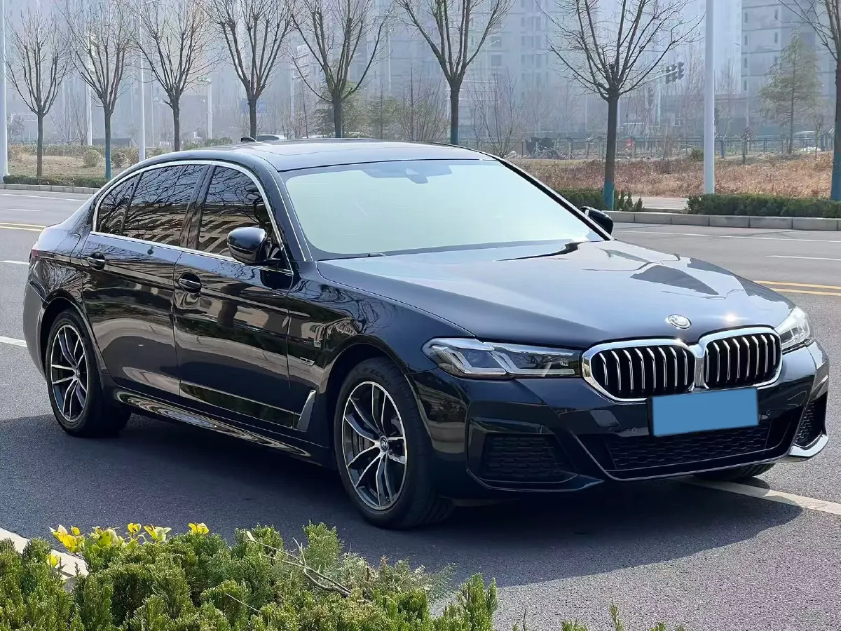 2021 BMW 5 Series 2.0T 184HP L4 8AT PHEV 17.7KWH,autocango,china used car exporter,china ev exporter,chinese used car exporter,chinese used ev exporter
