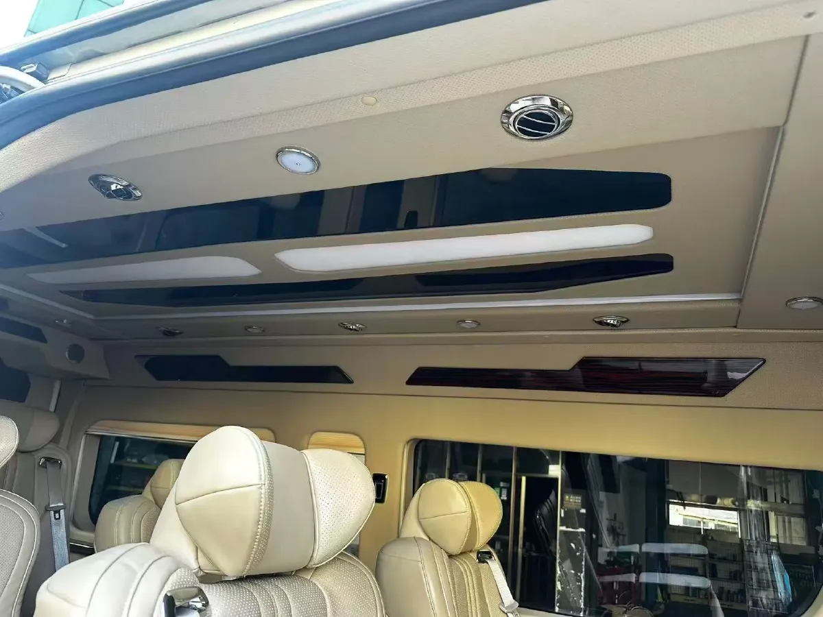 2019 Golden Dragon Sea Lion BEV 51.67KWH,autocango,china used car exporter,china ev exporter,chinese used car exporter,chinese used ev exporter