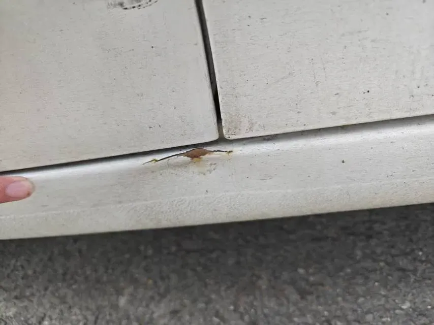 2016 Hyundai Elantra 1.6L 130HP L4 6AT,autocango,china used car exporter,china ev exporter,chinese used car exporter,chinese used ev exporter