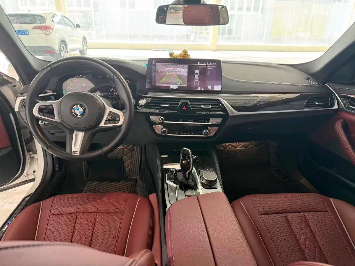 2021 BMW 5 Series 2.0T 184HP L4 8AT,autocango,china used car exporter,china ev exporter,chinese used car exporter,chinese used ev exporter