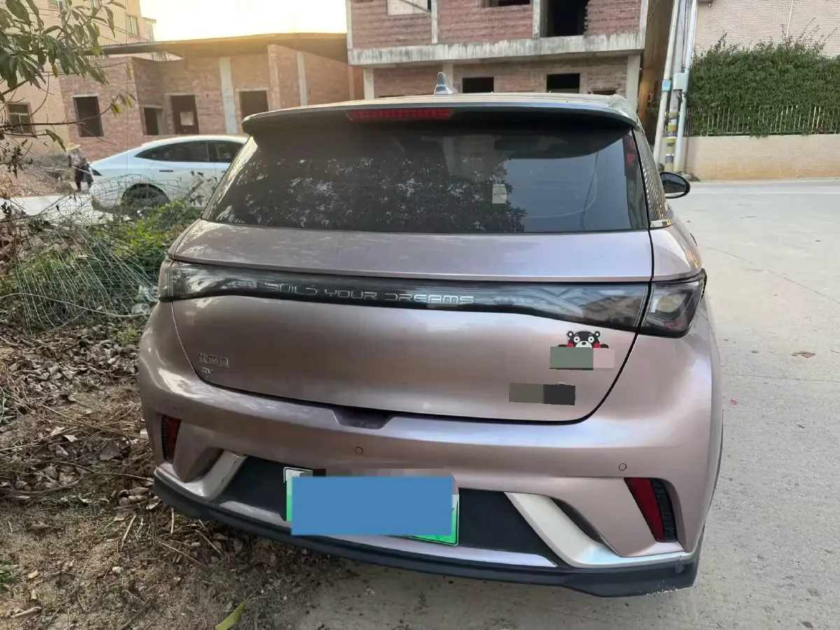 2021 BYD e2 BEV 43.2KWH,autocango,china used car exporter,china ev exporter,chinese used car exporter,chinese used ev exporter