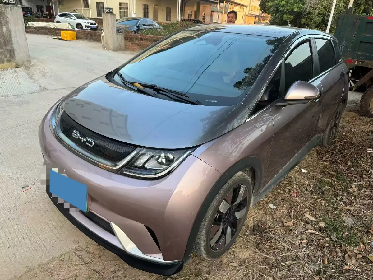 2021 BYD e2 BEV 43.2KWH,autocango,china used car exporter,china ev exporter,chinese used car exporter,chinese used ev exporter