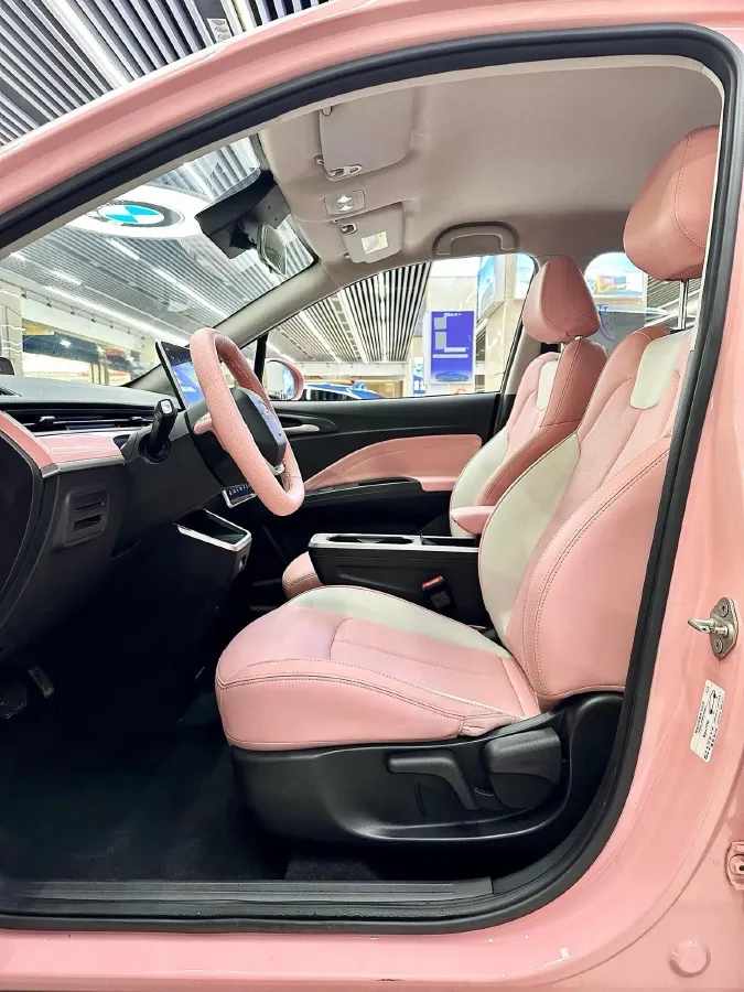 2021 Neta V BEV 31.18KWH,autocango,china used car exporter,china ev exporter,chinese used car exporter,chinese used ev exporter