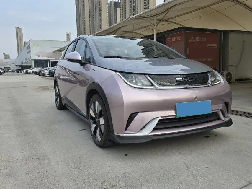 2021 BYD e2 BEV 43.2KWH,autocango,china used car exporter,china ev exporter,chinese used car exporter,chinese used ev exporter