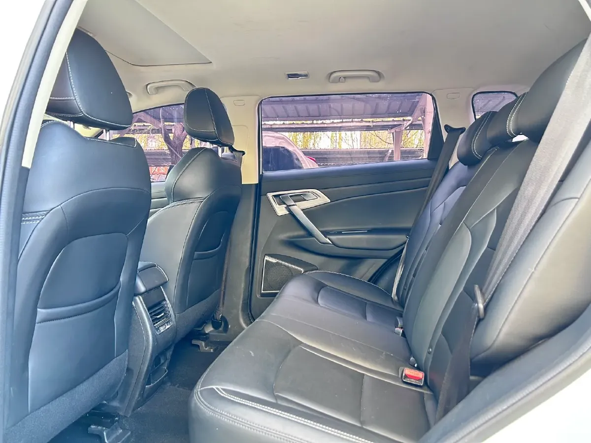 2020 Great Wall Poer 2.0T 163HP L4 8AT,autocango,china used car exporter,china ev exporter,chinese used car exporter,chinese used ev exporter