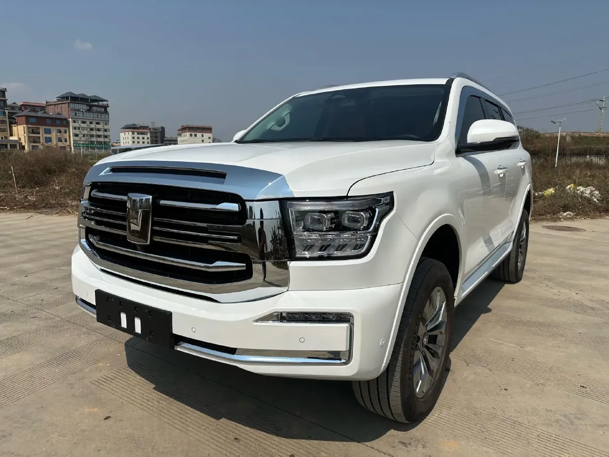 2023 Tank 500 2.0T 252HP L4 9AT PHEV 37.1KWH,autocango,china used car exporter,china ev exporter,chinese used car exporter,chinese used ev exporter