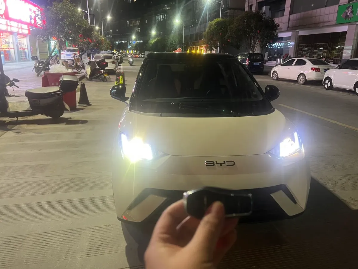 2024 BYD Seagull BEV 30.08KWH,autocango,china used car exporter,china ev exporter,chinese used car exporter,chinese used ev exporter