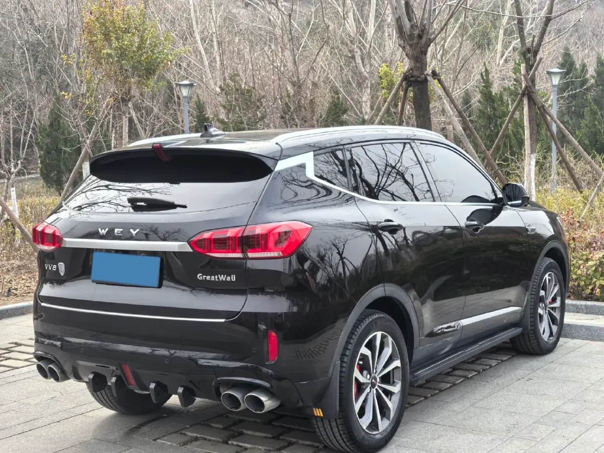 2020 WEY VV6 2.0T 227HP L4 7DCT,autocango,china used car exporter,china ev exporter,chinese used car exporter,chinese used ev exporter