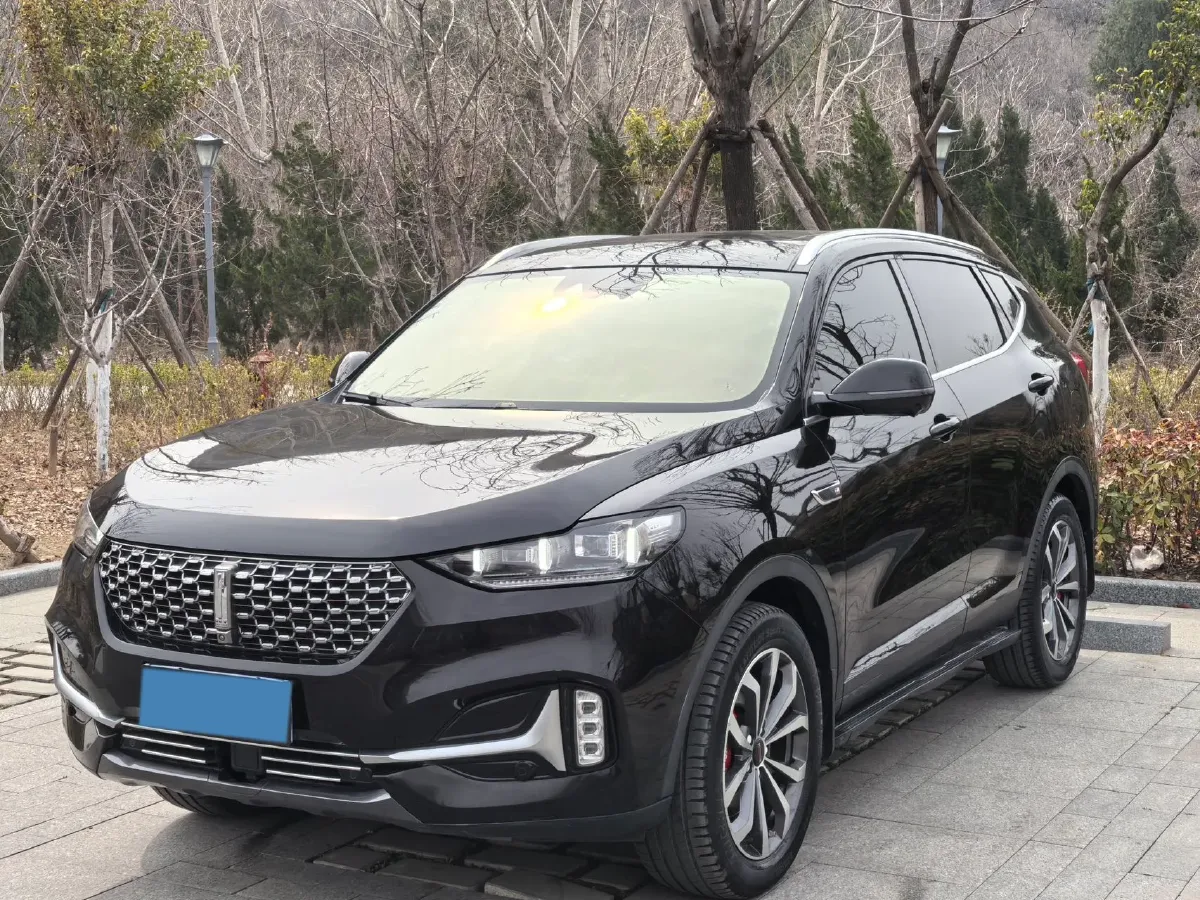 2020 WEY VV6 2.0T 227HP L4 7DCT,autocango,china used car exporter,china ev exporter,chinese used car exporter,chinese used ev exporter