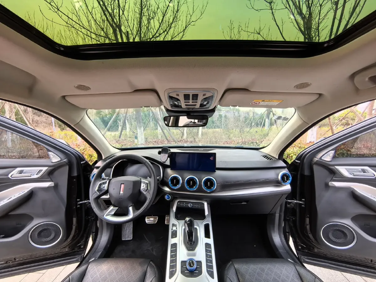 2020 WEY VV6 2.0T 227HP L4 7DCT,autocango,china used car exporter,china ev exporter,chinese used car exporter,chinese used ev exporter